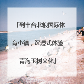 到丰台北粮国际体育小镇，沉浸式体验青海玉树文化